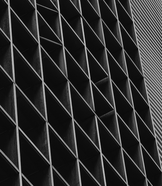 Architectural columns suggesting structure and discipline
